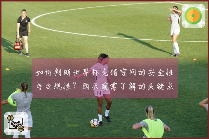 如何判断世界杯竞猜官网的安全性与合规性？购买前需了解的关键点