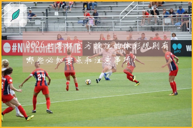 2026世界杯官方投注的体彩规则有哪些必知要点和注意事项？