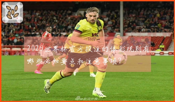 2026世界杯官方投注的体彩规则有哪些必知要点和注意事项？